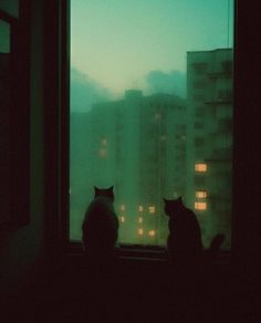 two cats sitting on a window sill looking out at the city lights in the distance