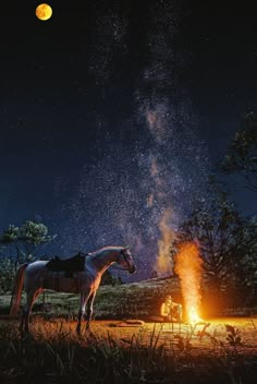 a horse standing next to a campfire at night