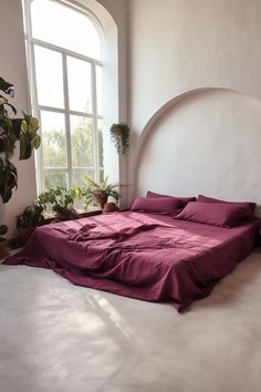 a bed with purple sheets and pillows in front of a large window, next to a potted plant