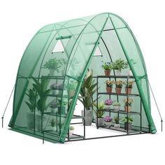 a green house with plants growing inside and on the outside, including potted plants