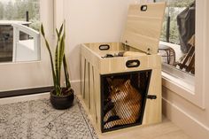 a dog in a crate sitting next to a potted plant on the floor near a window