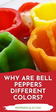 bell peppers with the words why are bell peppers different colors? on top of them