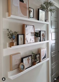 some shelves with pictures and plants on them