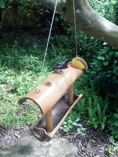 a toucan bird sitting on top of a wooden swing in the grass next to a tree