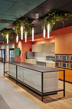 an empty kitchen and dining area with plants hanging from the ceiling over the counter top