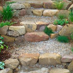 an outdoor area with rocks and plants