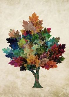 a tree with lots of leaves on it