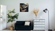 a living room with a black couch, white dresser and potted plant in the corner