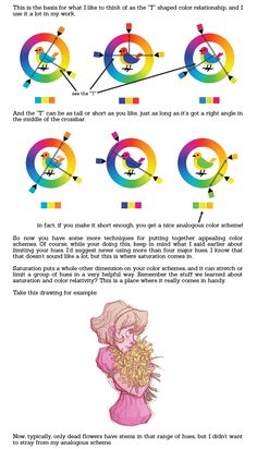 an info sheet describing the different types of birds