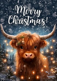 a christmas card with a highland cow in the snow and lights around it, saying merry christmas