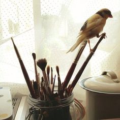 a bird sitting on top of a glass jar filled with brushes