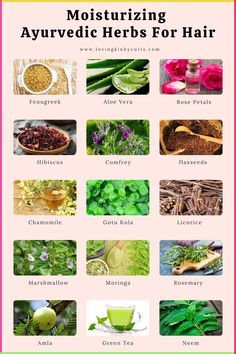 Are you tired of having damaged hair that looks unhealthy and unmanageable? Are you looking for ways to repair your hair and make it look beautiful and shiny? Try these natural treatments for a healthy hair #haircaretips, #haircare Fennel Seeds Benefits For Hair, Ayurvedic Herbs For Hair Growth, Tea For Hair Growth, Exercise Belly, Curly Hair Growth, Ayurvedic Hair Care, Eye Facts