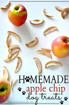 an apple and some dog treats on a white background with the words homemade apple chip dog treats