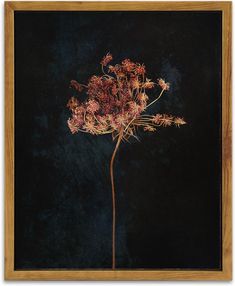 a flower is shown in a wooden frame on a black background with gold trim around the edges