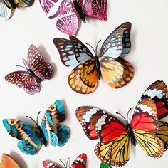 several colorful butterflies on a white surface