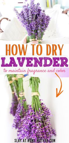 how to dry lavender flowers in the kitchen