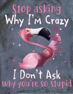 Sweatshirt Sayings, Flamingos Quote, Day Quotes Funny, Flamingo Pictures, Fancy Flamingo, Funny Day Quotes, Funny Flamingo, I'm Crazy, Crazy Quotes