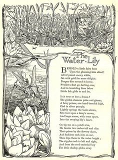 an old book page with flowers and water lilies on it, surrounded by grass