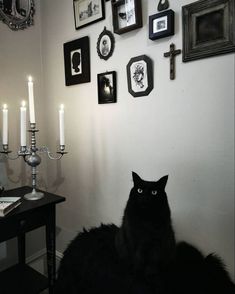 a black cat sitting on top of a table next to a wall with pictures and candles