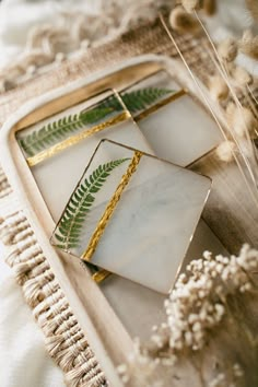 three glass coasters sitting on top of a table next to dried flowers and plants