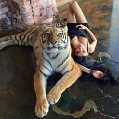 a woman laying on the ground next to a tiger