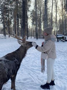 a woman feeding a deer in the snow with her scarf around it's neck