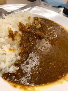 a white plate topped with rice and curry