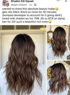 Hair Stylist Tips, Redken Shades Eq, Hair Color Formulas, Hair Color And Cut, Natural Hair Color, Hair Skin, Perfect Hair, Fall Hair, Diy Hairstyles