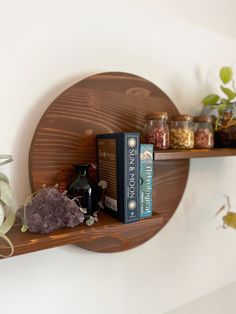 two wooden shelves with books and plants on them