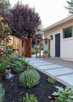 a garden area with various plants and trees