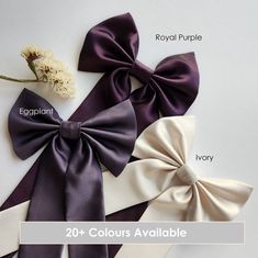 four different colors of bow ties with the words 20 + colours available in each color