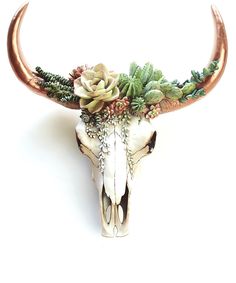 an animal's skull decorated with plants and succulents is shown against a white background