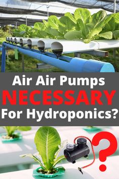 air pumps necessary for hydroponies and how to use them in the greenhouses