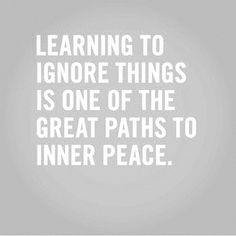 a quote on learning to ignore things is one of the great paths to inner peace