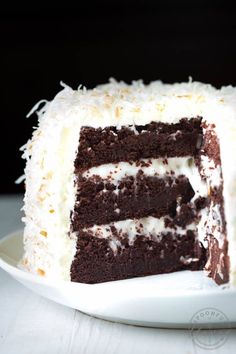 a chocolate cake with white frosting on a plate