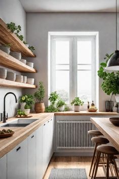 a kitchen filled with lots of plants and wooden counters