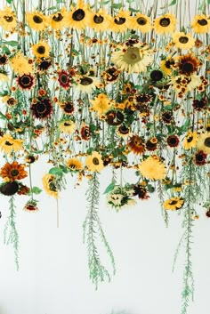 an arrangement of sunflowers hanging from the ceiling in front of a white wall