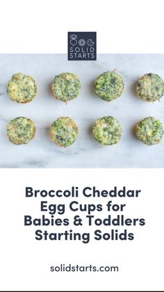 broccoli cheddar egg cups for babies and toddlers starting solids