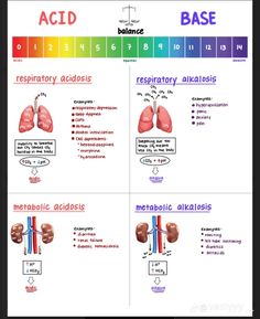 the diagram shows different types of blood vessels and their corresponding functions in each type of body