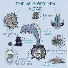 Witch Altar Ideas, Sea Witch Altar, Witch Altar, Altar Ideas, Water Witch, Magic Spell Book, Witch Spirituality, Witches Altar, Eclectic Witch