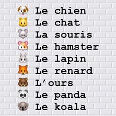 a white brick wall with different animals on it and the words le chien le chat la souster le hamster le lapin le renard l'd'ourss l'ours le panda le panda le panda le panda le koala