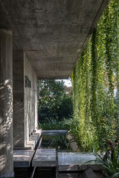 an outdoor area with water and plants on the outside, under a concrete structure that is surrounded by greenery