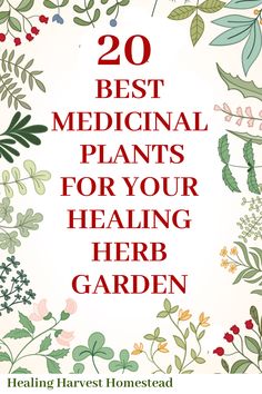 the words 20 best medical plants for your health garden