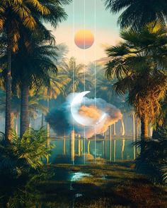 an image of a surreal landscape with palm trees and a moon in the sky above it