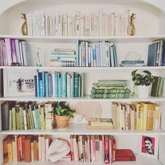 a bookshelf filled with lots of books next to a plant and potted plants