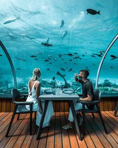 Undersea Resturant in Maldives by Olanka Travels. Maldives Honeymoon Package, جزر المالديف, Underwater Hotel, Underwater Restaurant, Best Travel Insurance, Visit Maldives, Maldives Travel, Honeymoon Packages