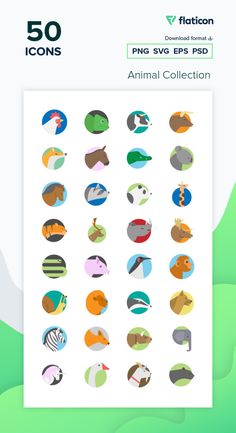 an animal icon pack with different types of animals and their names on the front cover