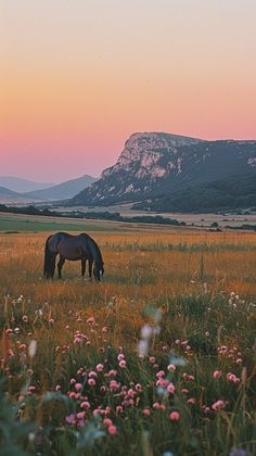 a horse grazes in an open field with mountains in the background