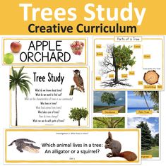 an apple orchard tree study guide with pictures and text on the front cover is shown