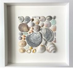 a white frame with sea shells in it